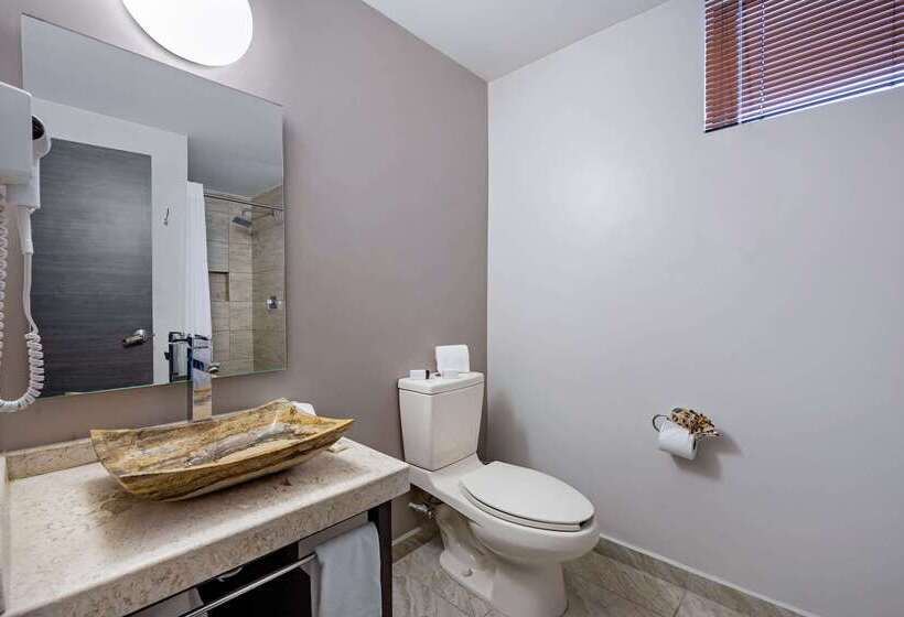 酒店 Comfort Inn Queretaro