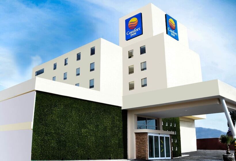 Отель Comfort Inn Queretaro