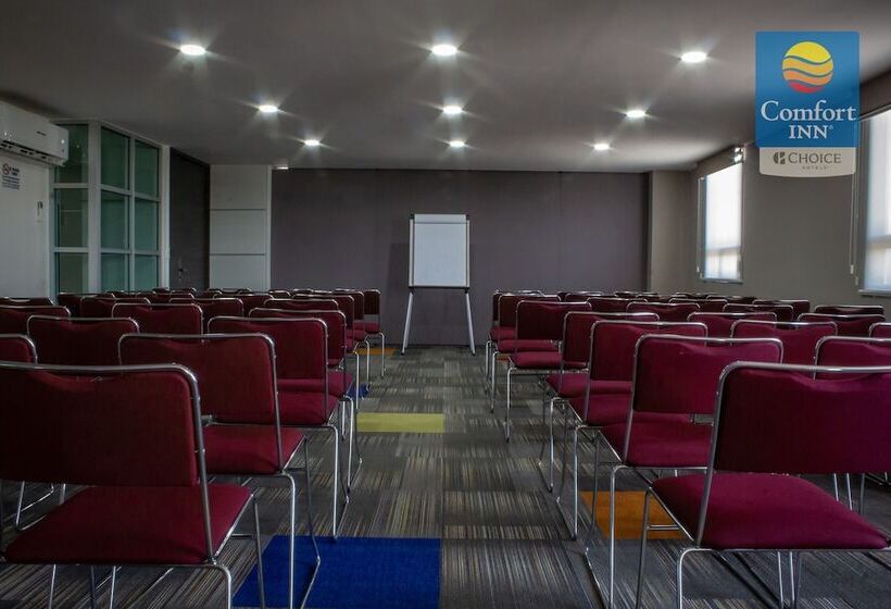 Отель Comfort Inn Queretaro
