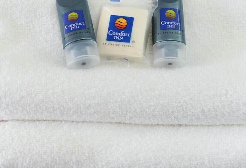 酒店 Comfort Inn Queretaro