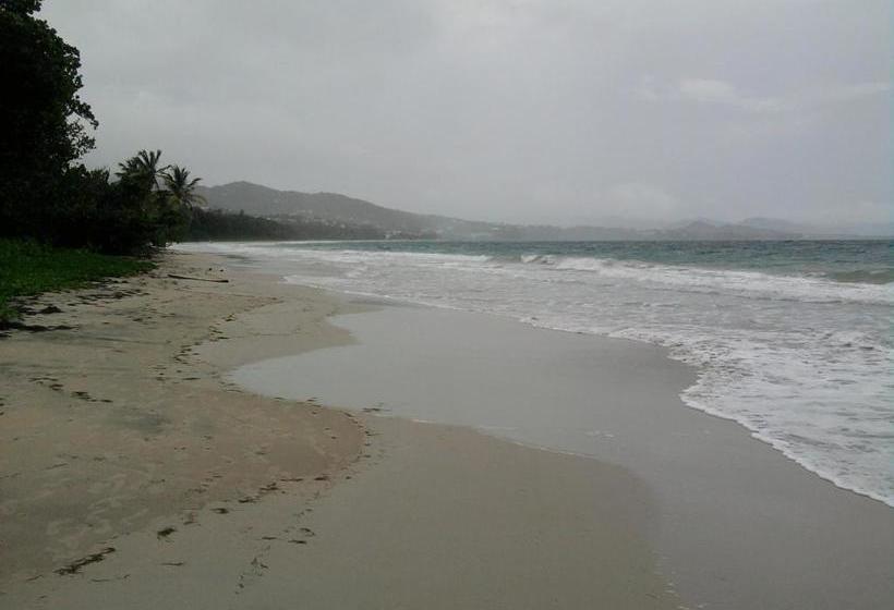 Studio A Le Diamant A 500 M De La Plage Avec Vue Sur La Mer Jardin Clos Et Wifi