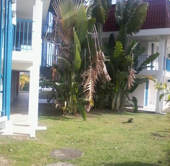 Studio A Le Diamant A 500 M De La Plage Avec Vue Sur La Mer Jardin Clos Et Wifi