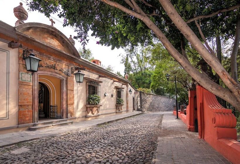 Отель Villa Santa Monica