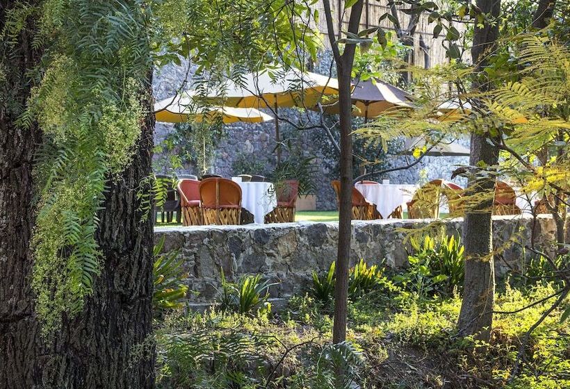 Отель Villa Santa Monica