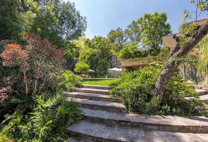 Отель Villa Santa Monica