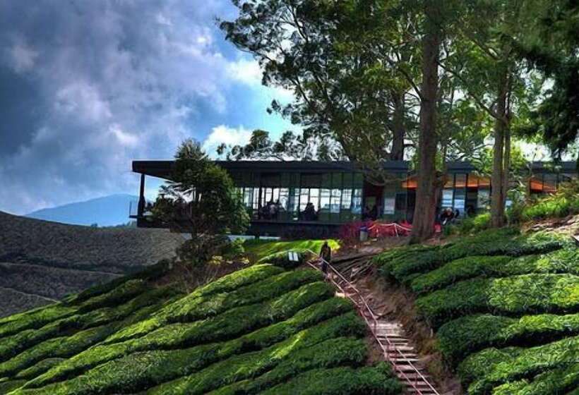 استراحتگاه Copthorne Hotel Cameron Highlands