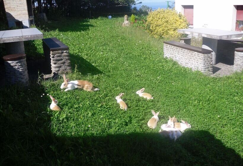 فندق Agroturismo Donibane