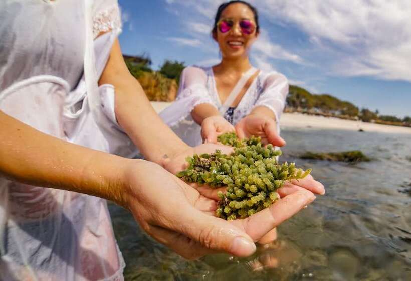 Four Seasons Resort Punta Mita