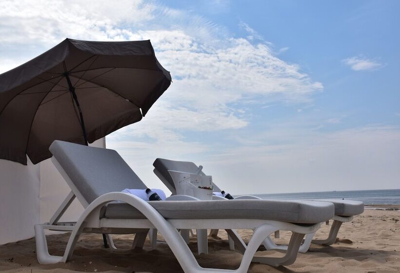 בית מלון כפרי Alexander