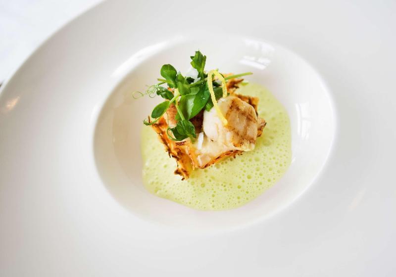 ホテル Best Western Plus Plaza Florida & Tower