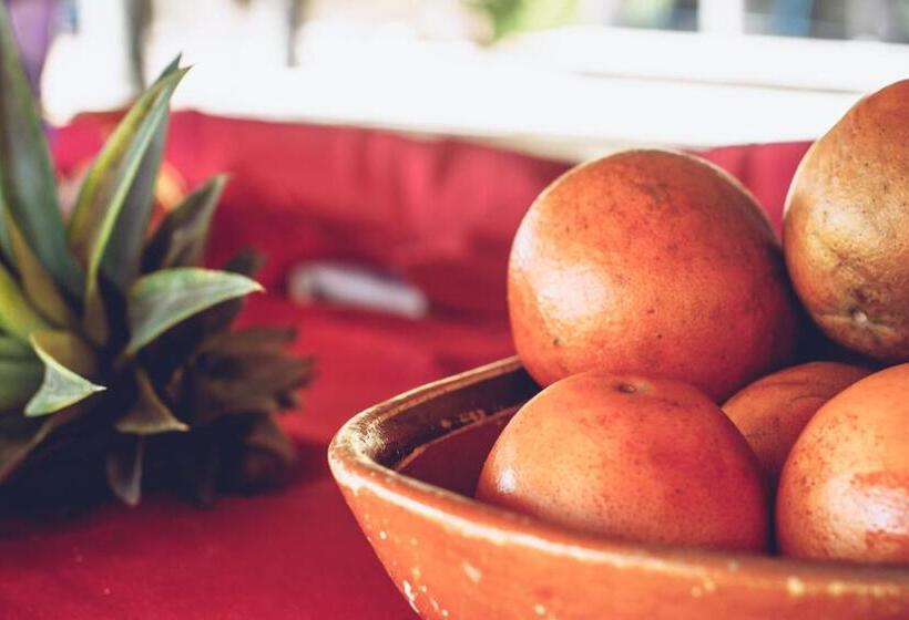 فندق Playa Rosa Bungalows Careyes