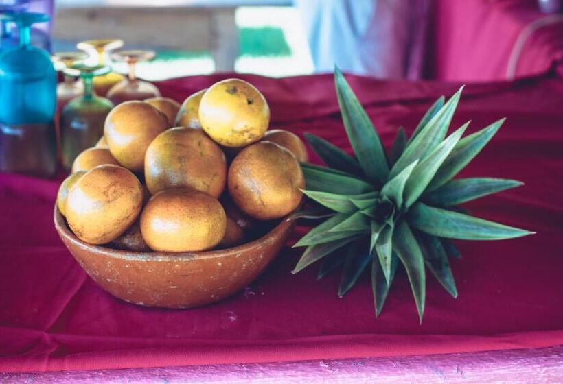 فندق Playa Rosa Bungalows Careyes