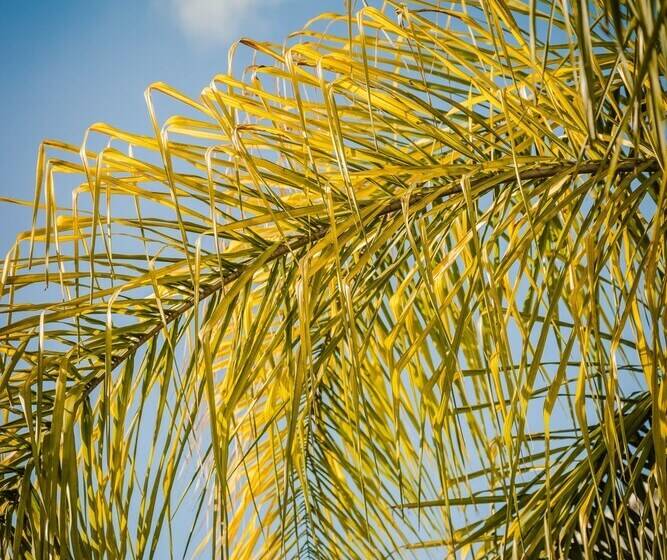 فندق Fiesta Inn Monclova