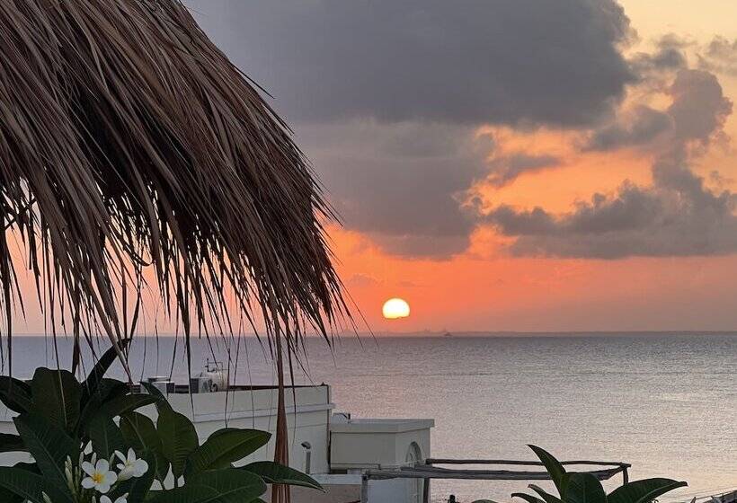 בית מלון כפרי Flamingo