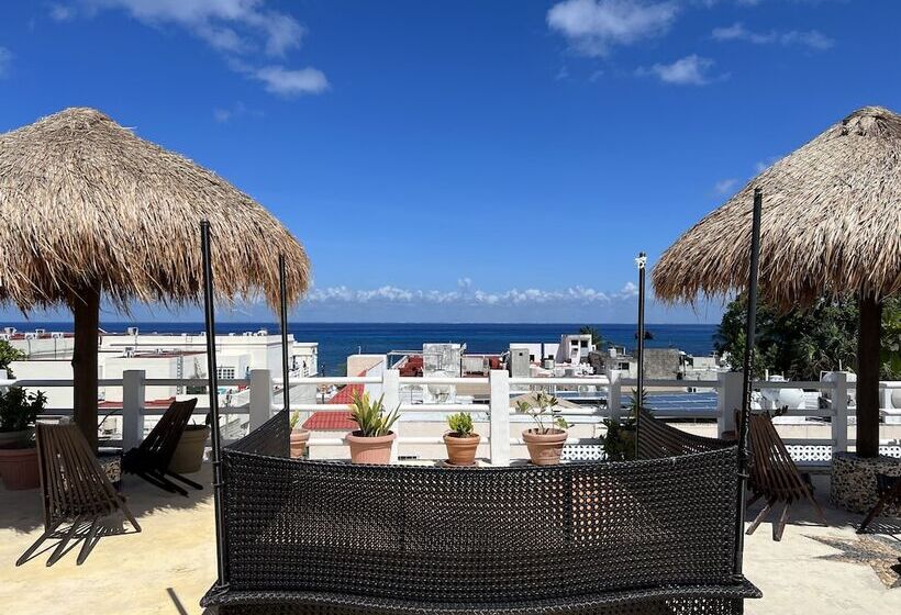 בית מלון כפרי Flamingo