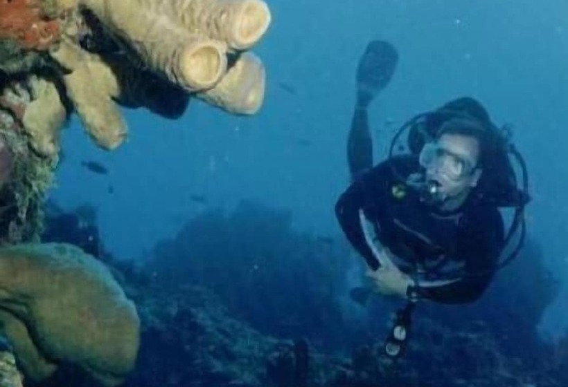 בית מלון כפרי Flamingo