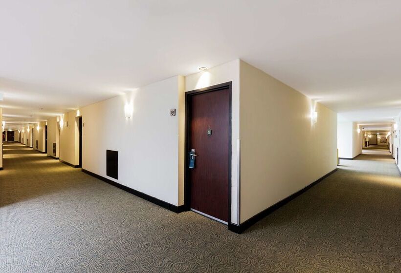 هتل Hilton Mexico City Airport