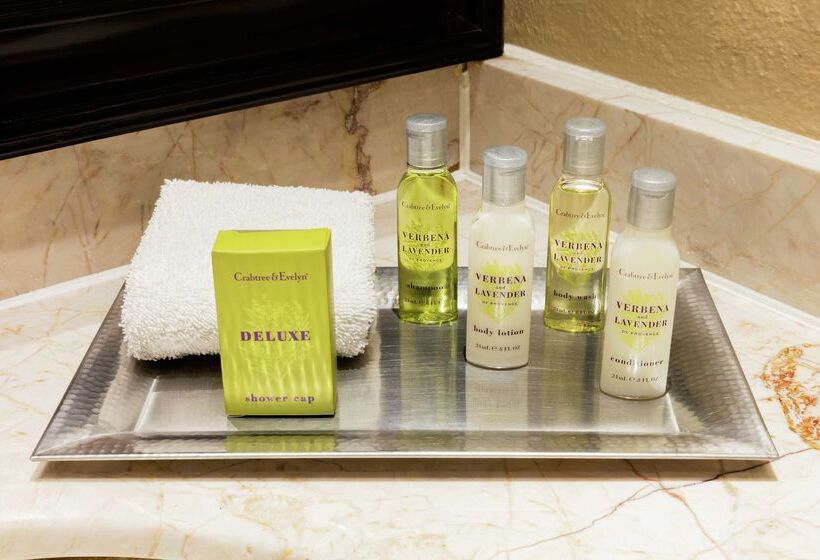 هتل Hilton Mexico City Airport