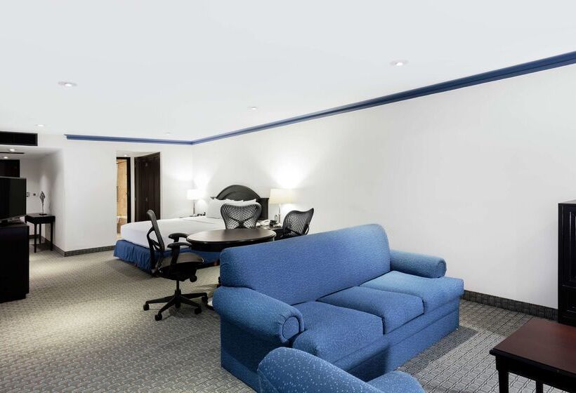 هتل Hilton Mexico City Airport