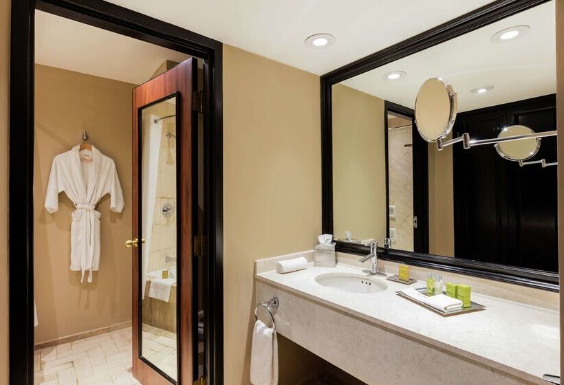 هتل Hilton Mexico City Airport