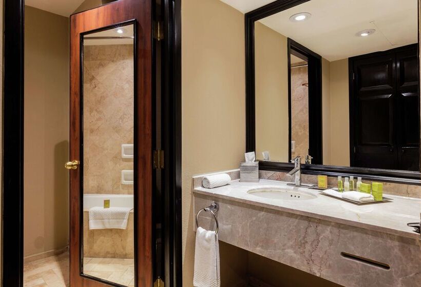 هتل Hilton Mexico City Airport