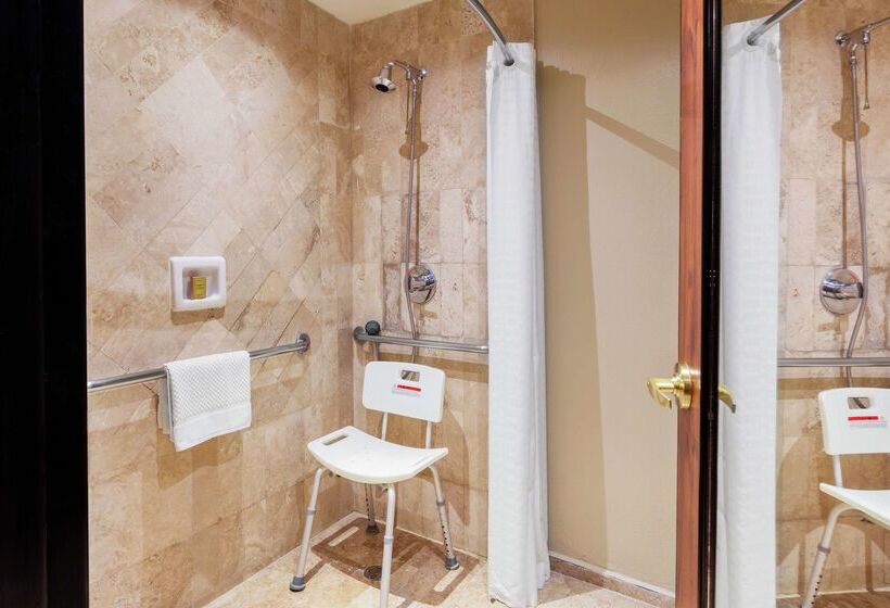 هتل Hilton Mexico City Airport