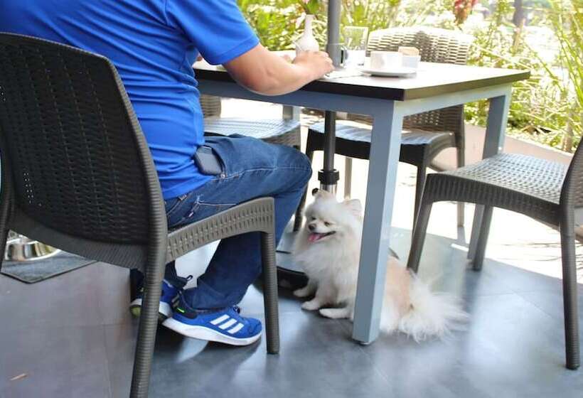 هتل Holiday Inn Mexico Dali Airport, An Ihg