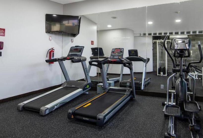 هتل Holiday Inn Mexico Dali Airport, An Ihg