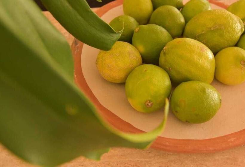 Marina Smir Hotel & Spa