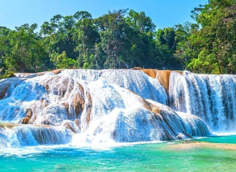 ホテル Palenque Premier