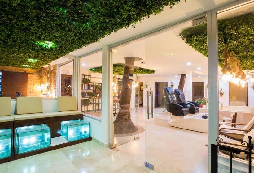 Playa Los Arcos Hotel Beach Resort & Spa