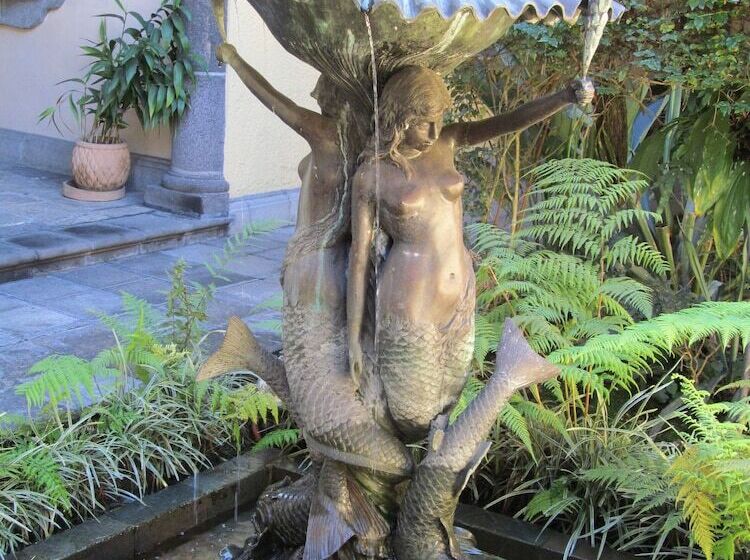 בית מלון כפרי Posada Coatepec