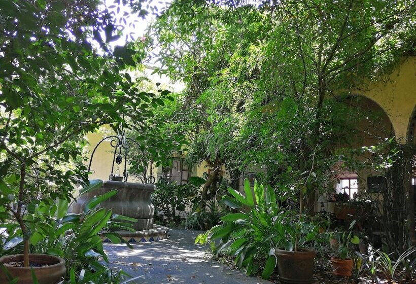 בית מלון כפרי Posada Coatepec