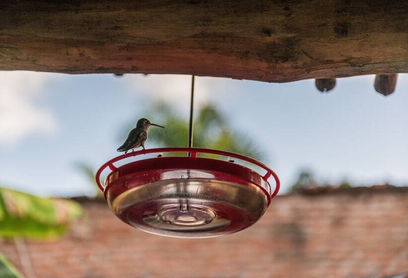 فندق Posada Del Hidalgo  Centro Historico A Balderrama Collection