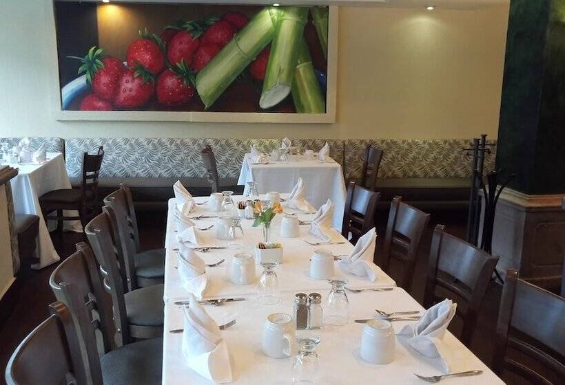 호텔 San Marcos Grand