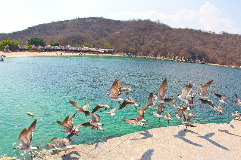 호텔 Villa Blanca Huatulco