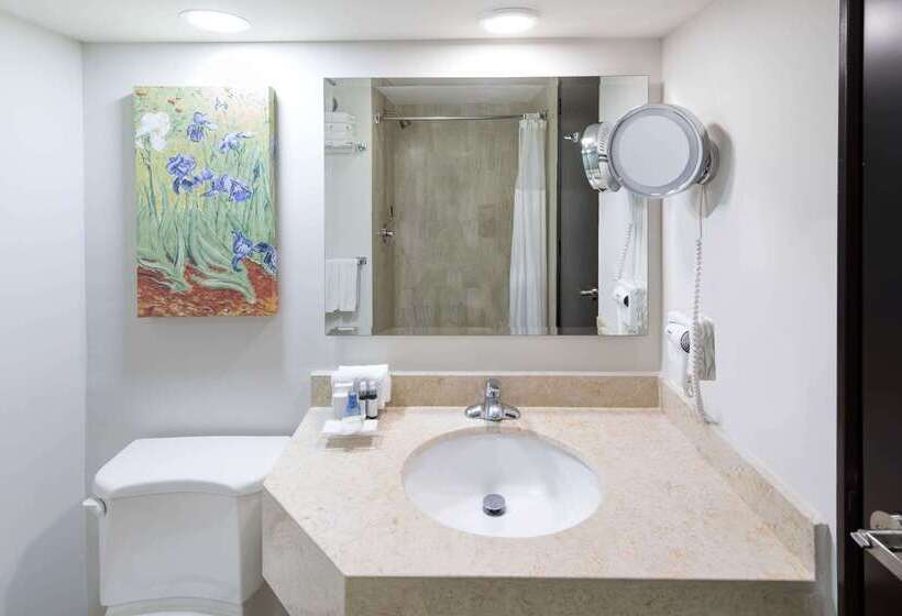 Отель Wyndham Executivo Culiacan