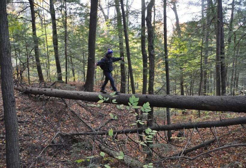 Attitash Mountain Village