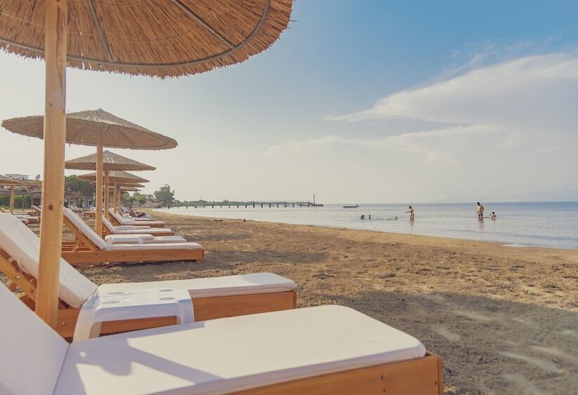 בית מלון כפרי La Playa Grande