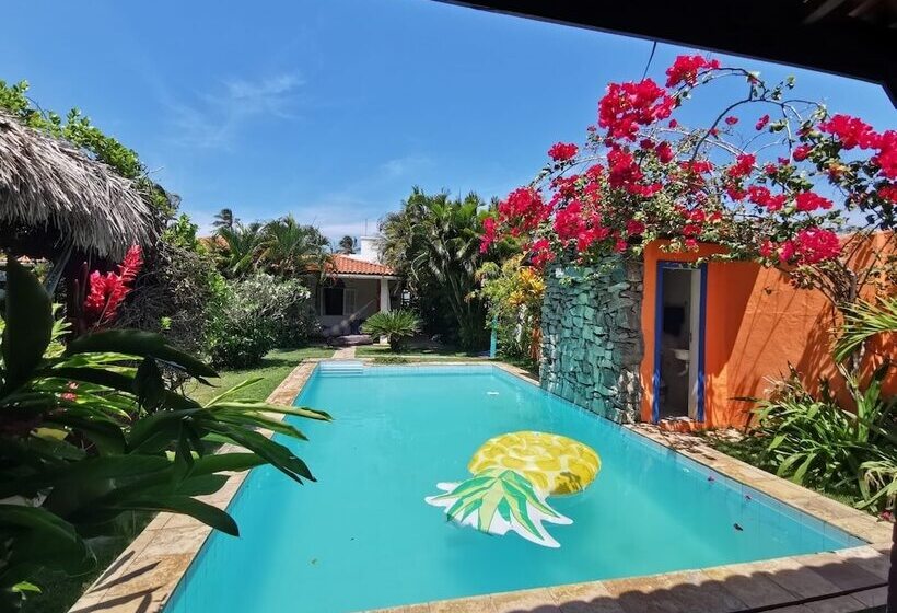 Bada Hostel & Kite School