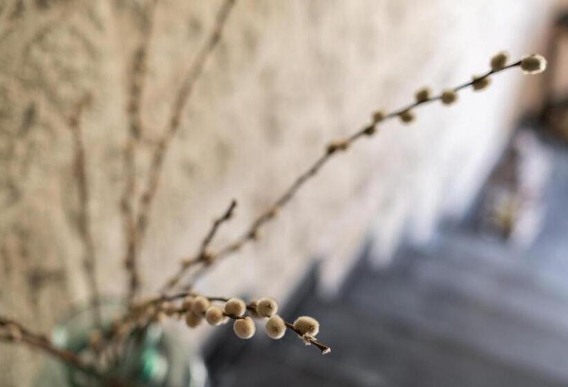 酒店 Bramasole Alaçatı Butik