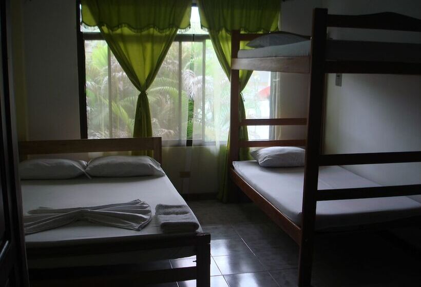 Hostal Hippilandia   Hostel