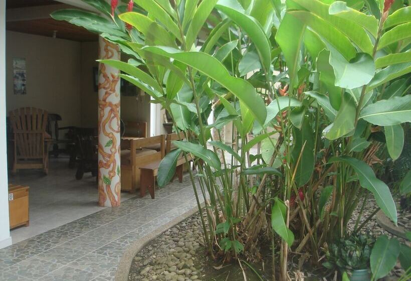 Hostal Hippilandia   Hostel
