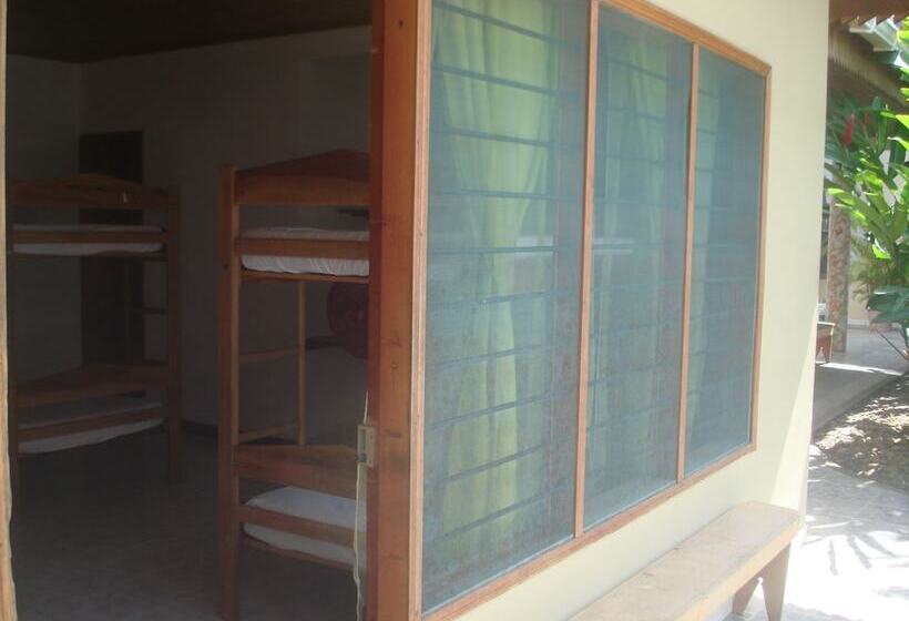 Hostal Hippilandia   Hostel