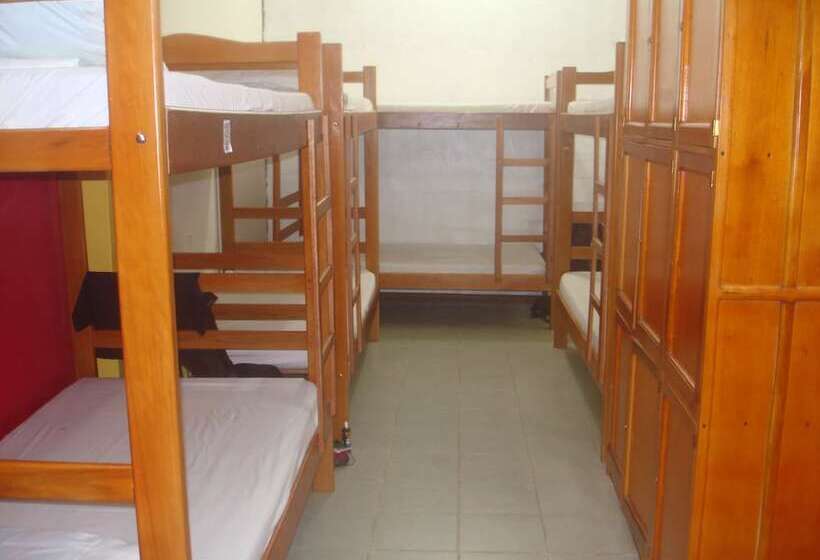 Hostal Hippilandia   Hostel