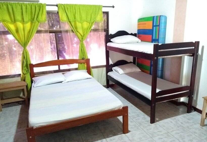 Hostal Hippilandia   Hostel