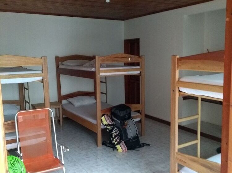 Hostal Hippilandia   Hostel