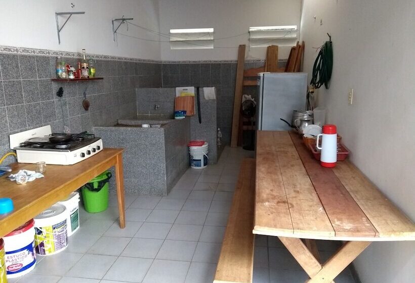 Hostal Hippilandia   Hostel