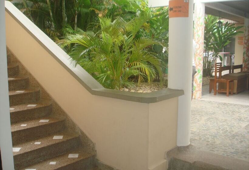 Hostal Hippilandia   Hostel