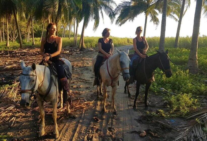 Отель Calamocha Lodge